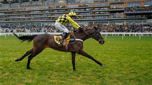 Newspaper Racing Tips - Mighty Potter, Shishkin and Teahupoo the tipster's treble on day three