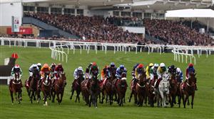 2023 Ultima Handicap Chase Odds and Entries - The Goffer and Into Overdrive top Festival betting