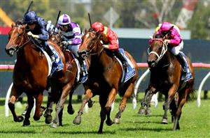 Blue Diamond Stakes 2023 Tips, Preview & Best Bets