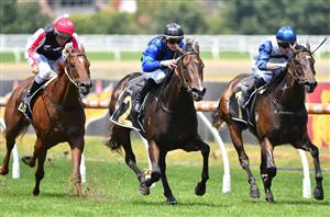 Oakleigh Plate 2023 Tips, Preview & Best Bets