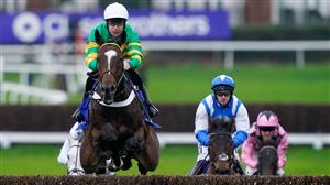 Arkle 2023 Tips - Keep the faith in Nicky's novice at Cheltenham