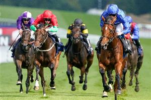 Meydan Tips - Dubai World Cup Carnival Week 8 Predictions on February 24th