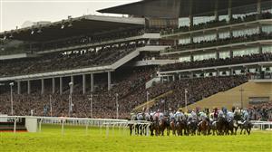 Coral Cup Live Stream - Watch the Cheltenham race online