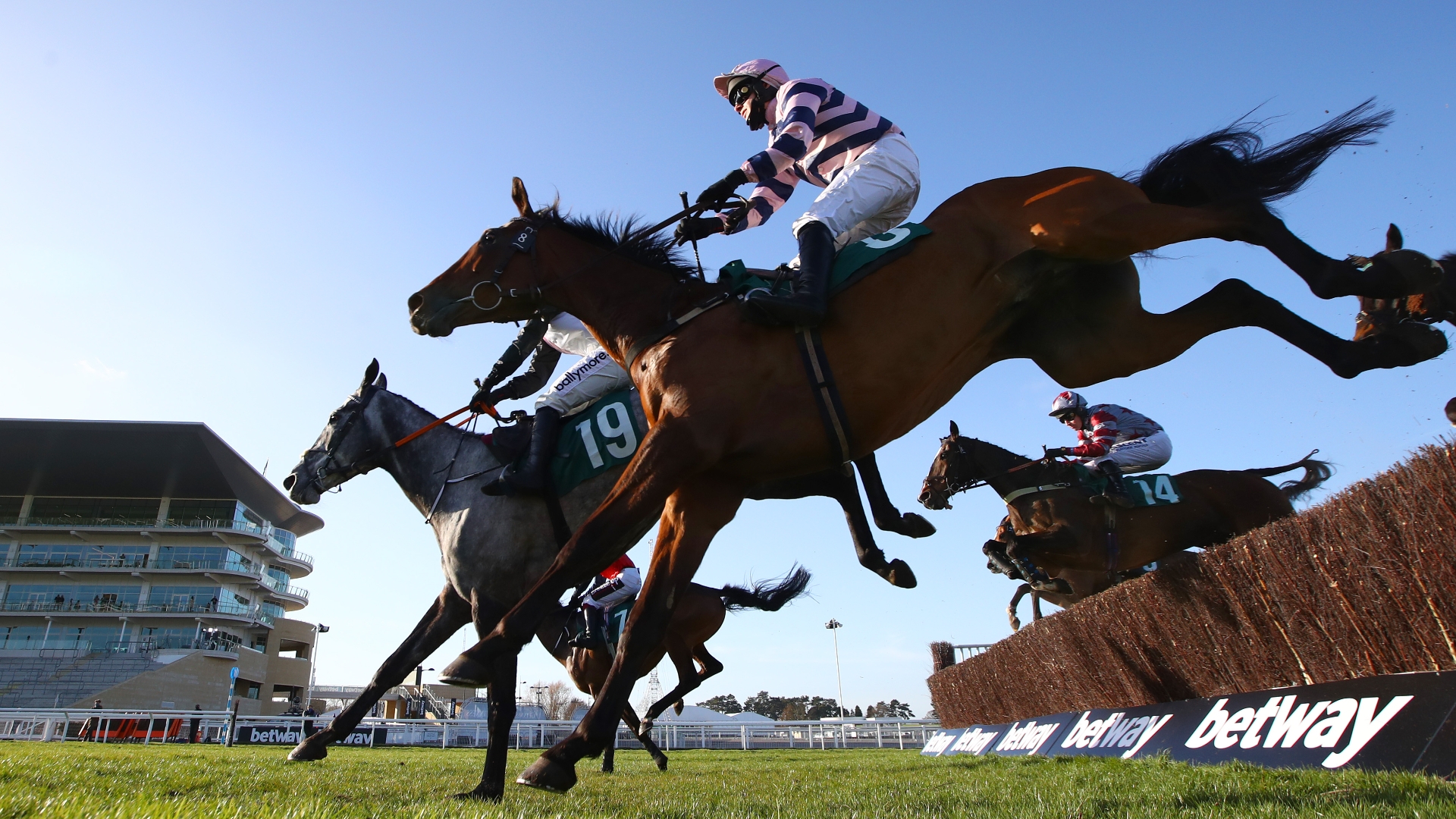 2023 Grand Annual Odds and Entries - Aucunrisque heads a wave of Irish challengers
