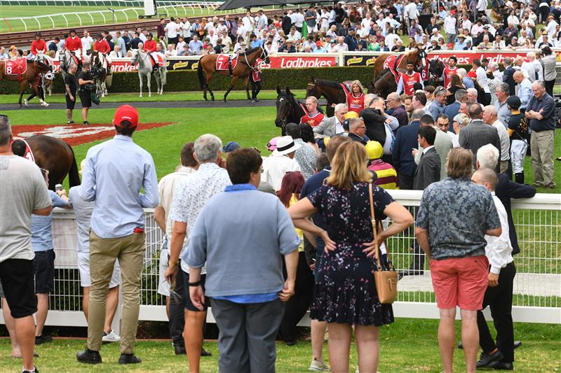 MELBOURNE, AUSTRALIA - FEBRUARY 25:  Gold Trip parades before Race 6, the Carlton Draught Peter Young Stakes, during Melbourne Racing at Sandown Lakeside on February 25, 2023 in Melbourne, Australia. (Photo by Vince Caligiuri/Getty Images)