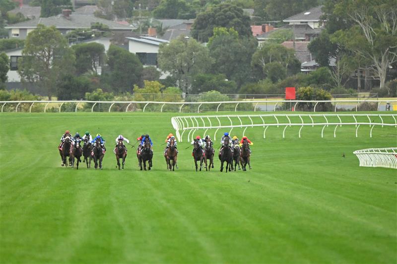 MELBOURNE, AUSTRALIA - FEBRUARY 25:  Ben Thompson riding Uncommon James (ctr) Race 9, the Ladbrokes Oakleigh Plate,  during Melbourne Racing at Sandown Lakeside on February 25, 2023 in Melbourne, Australia. (Photo by Vince Caligiuri/Getty Images)