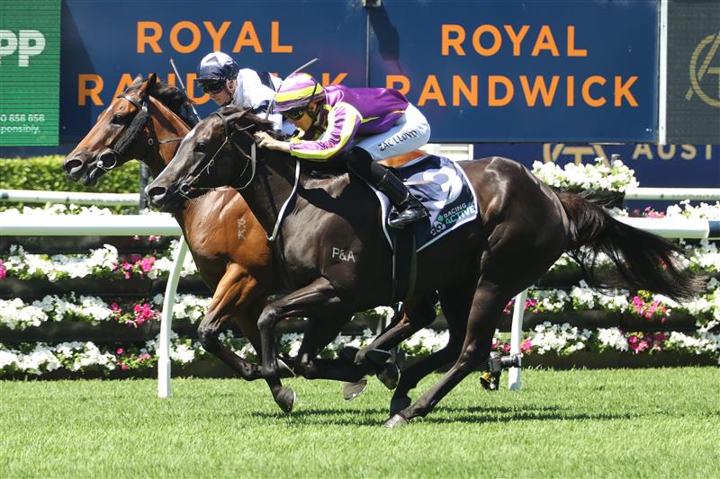 SYDNEY, AUSTRALIA - FEBRUARY 25: Dylan Gibbons riding Dalaalaat wins Race 1 Midway during TAB Chipping Norton Stakes Day - Sydney Racing at Royal Randwick Racecourse on February 25, 2023 in Sydney, Australia. (Photo by Jeremy Ng/Getty Images)
