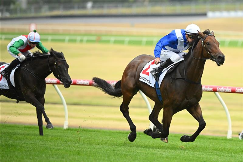 MELBOURNE, AUSTRALIA - FEBRUARY 25: Blake Shinn riding Alligator Blood winning Race 8, the Lamaro's Futurity Stakes, during Melbourne Racing at Sandown Lakeside on February 25, 2023 in Melbourne, Australia. (Getty)