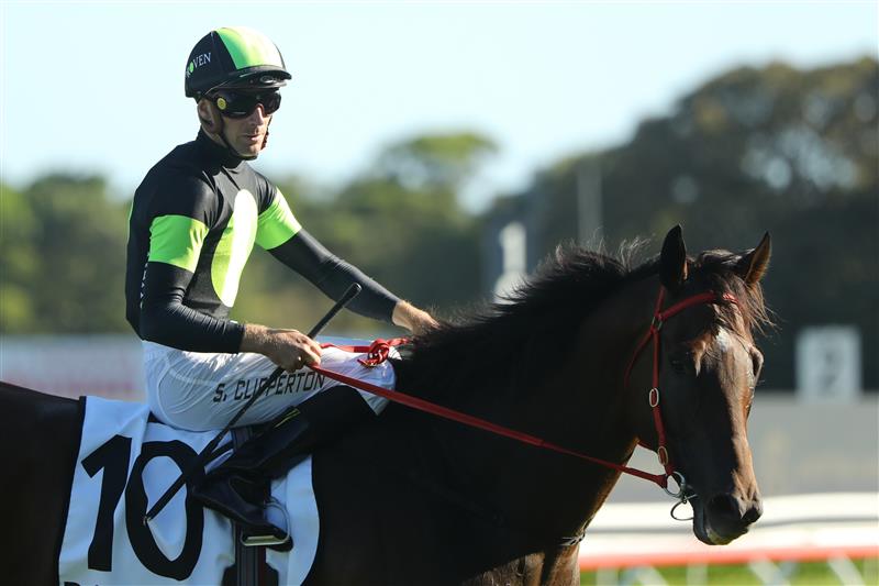 SYDNEY, AUSTRALIA - FEBRUARY 25: Sam Clipperton riding Think About It wins Race 9 Liverpool City Cup during TAB Chipping Norton Stakes Day - Sydney Racing at Royal Randwick Racecourse on February 25, 2023 in Sydney, Australia. (Photo by Jeremy Ng/Getty Images)