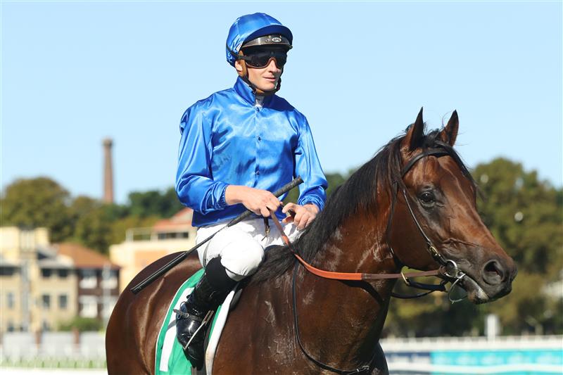 SYDNEY, AUSTRALIA - FEBRUARY 25: James Mcdonald riding Anamoe wins Race 8 TAB Chipping Norton Stakes during TAB Chipping Norton Stakes Day - Sydney Racing at Royal Randwick Racecourse on February 25, 2023 in Sydney, Australia. (Photo by Jeremy Ng/Getty Images)