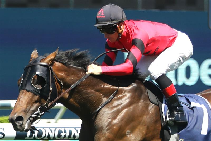 SYDNEY, AUSTRALIA - FEBRUARY 25: James Mcdonald riding Glory Daze winsRace 4 Fitzgerald Jenkins during TAB Chipping Norton Stakes Day - Sydney Racing at Royal Randwick Racecourse on February 25, 2023 in Sydney, Australia. (Photo by Jeremy Ng/Getty Images)