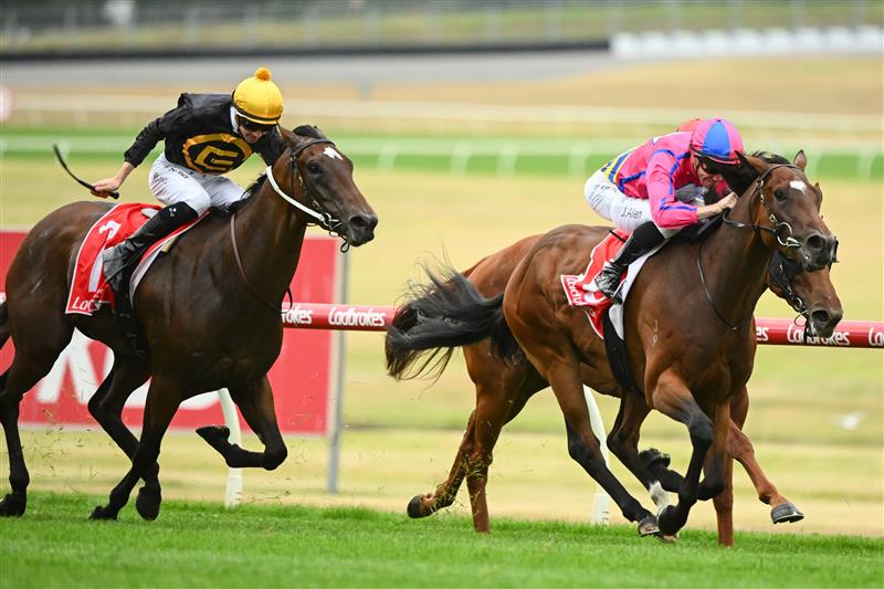 MELBOURNE, AUSTRALIA - FEBRUARY 25: John Allen riding Recommendation winning Race 4, the Ladbrokes Zeditave Stakes, during Melbourne Racing at Sandown Lakeside on February 25, 2023 in Melbourne, Australia. (Photo by Vince Caligiuri/Getty Images)