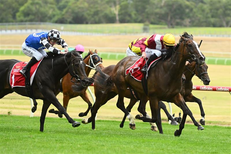 MELBOURNE, AUSTRALIA - FEBRUARY 25: John Allen riding Steinem defeats Mark Zahra riding Gold Trip i Race 6, the Carlton Draught Peter Young Stakes, during Melbourne Racing at Sandown Lakeside on February 25, 2023 in Melbourne, Australia. (Photo by Vince Caligiuri/Getty Images)