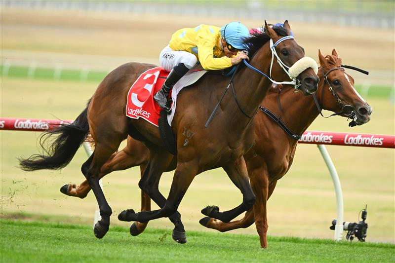 MELBOURNE, AUSTRALIA - FEBRUARY 25: Ben Melham riding Shuffle Dancer defeats Michael Dee riding Royal Merchant in Race 2, the Ladbrokes Angus Armanasco Stakes, during Melbourne Racing at Sandown Lakeside on February 25, 2023 in Melbourne, Australia. (Photo by Vince Caligiuri/Getty Images)