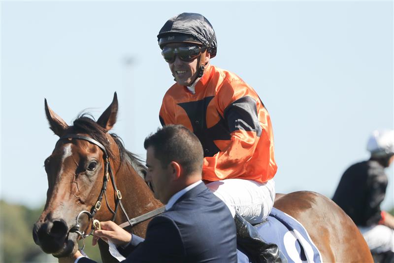 SYDNEY, AUSTRALIA - FEBRUARY 25: Ryan Maloney riding  Sunshine In Paris wins Race 7 Drinkwise Surround Stakes during TAB Chipping Norton Stakes Day - Sydney Racing at Royal Randwick Racecourse on February 25, 2023 in Sydney, Australia. (Photo by Jeremy Ng/Getty Images)