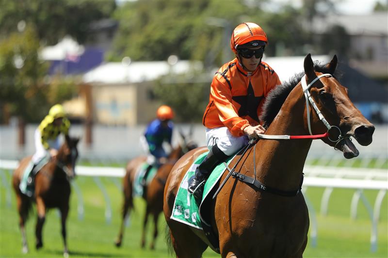 SYDNEY, AUSTRALIA - FEBRUARY 25: Tim Clark riding Mogo Magic wins Race 2 TAB Highway Handicap during TAB Chipping Norton Stakes Day - Sydney Racing at Royal Randwick Racecourse on February 25, 2023 in Sydney, Australia. (Photo by Jeremy Ng/Getty Images)