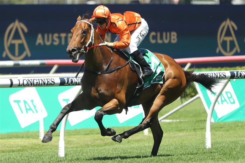 SYDNEY, AUSTRALIA - FEBRUARY 25: Tim Clark riding Mogo Magic wins Race 2 TAB Highway Handicap during TAB Chipping Norton Stakes Day - Sydney Racing at Royal Randwick Racecourse on February 25, 2023 in Sydney, Australia. (Photo by Jeremy Ng/Getty Images)
