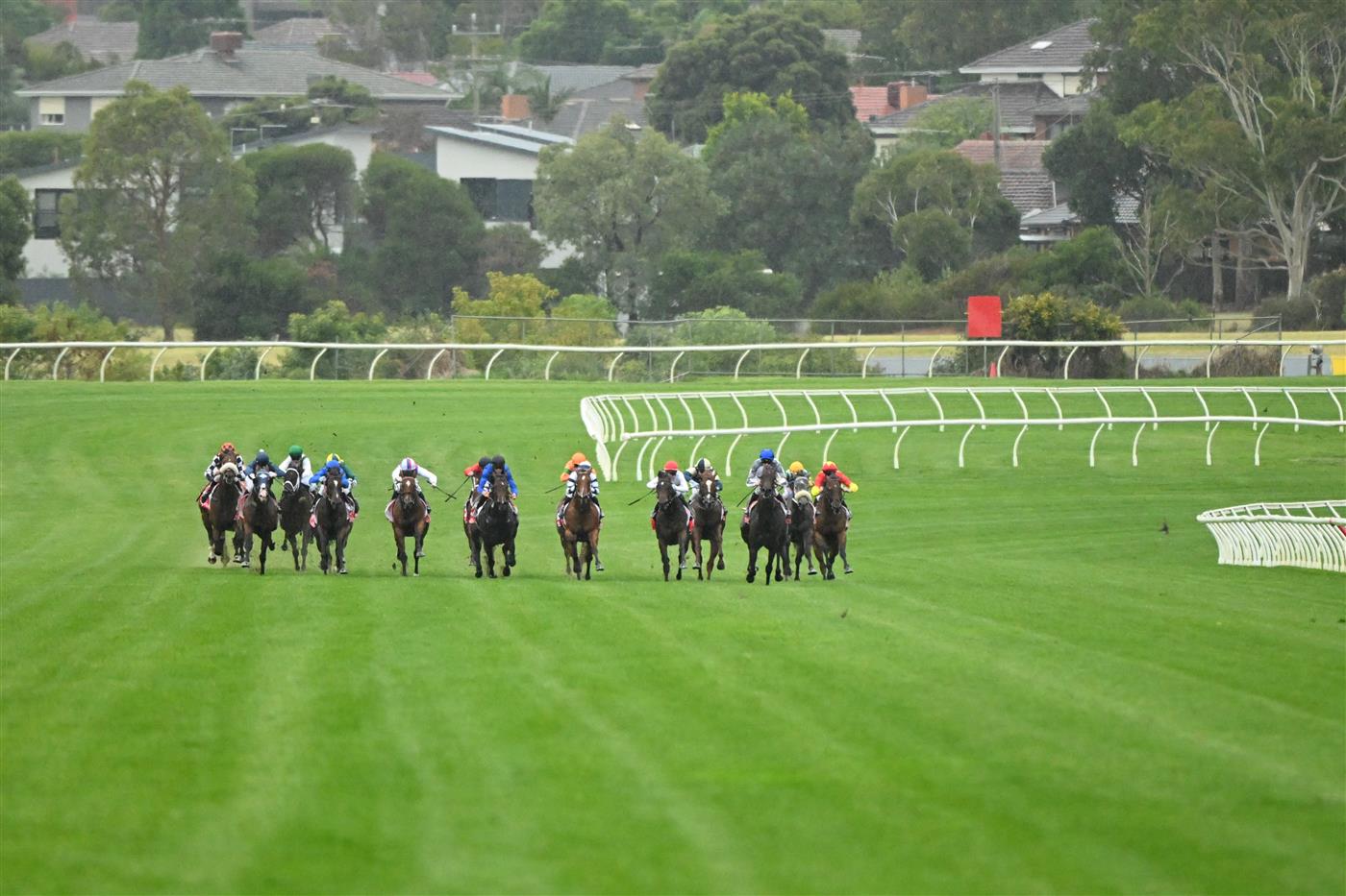 MELBOURNE, AUSTRALIA - FEBRUARY 25:  Ben Thompson riding Uncommon James (ctr) Race 9, the Ladbrokes Oakleigh Plate,  during Melbourne Racing at Sandown Lakeside on February 25, 2023 in Melbourne, Australia. (Photo by Vince Caligiuri/Getty Images)