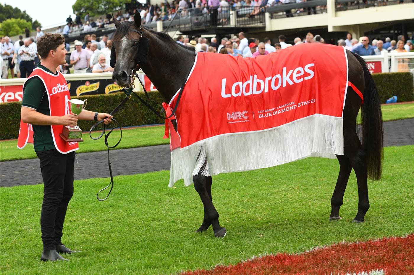 MELBOURNE, AUSTRALIA - FEBRUARY 25: Little Brose after winning Race 7, the Ladbrokes Blue Diamond Stakes,  during Melbourne Racing at Sandown Lakeside on February 25, 2023 in Melbourne, Australia. (Photo by Vince Caligiuri/Getty Images)