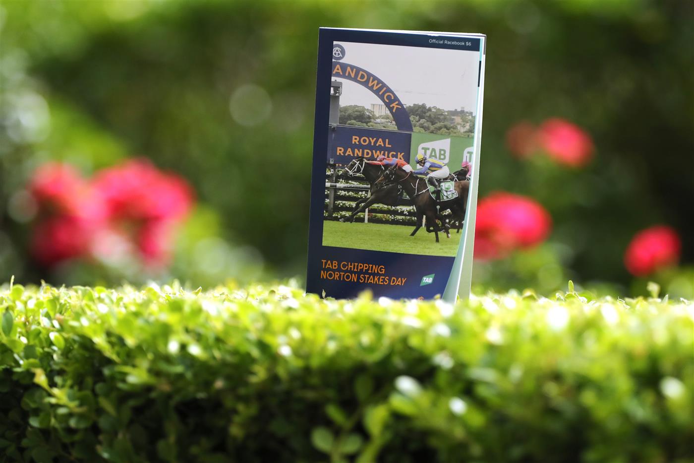 SYDNEY, AUSTRALIA - FEBRUARY 25: An official racebook is seen prior to the TAB Chipping Norton Stakes Day - Sydney Racing at Royal Randwick Racecourse on February 25, 2023 in Sydney, Australia. (Photo by Jeremy Ng/Getty Images)