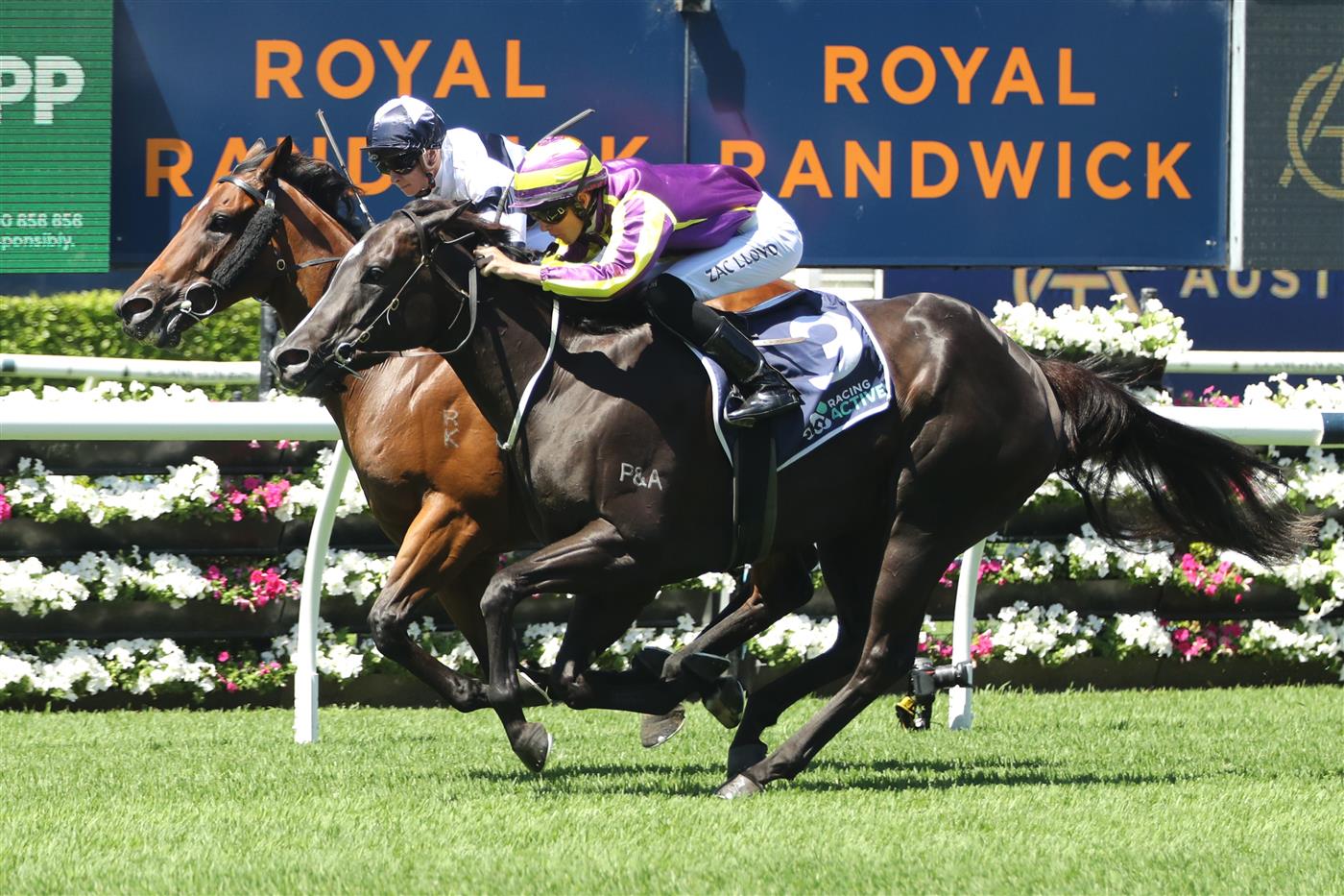 SYDNEY, AUSTRALIA - FEBRUARY 25: Dylan Gibbons riding Dalaalaat wins Race 1 Midway during TAB Chipping Norton Stakes Day - Sydney Racing at Royal Randwick Racecourse on February 25, 2023 in Sydney, Australia. (Photo by Jeremy Ng/Getty Images)