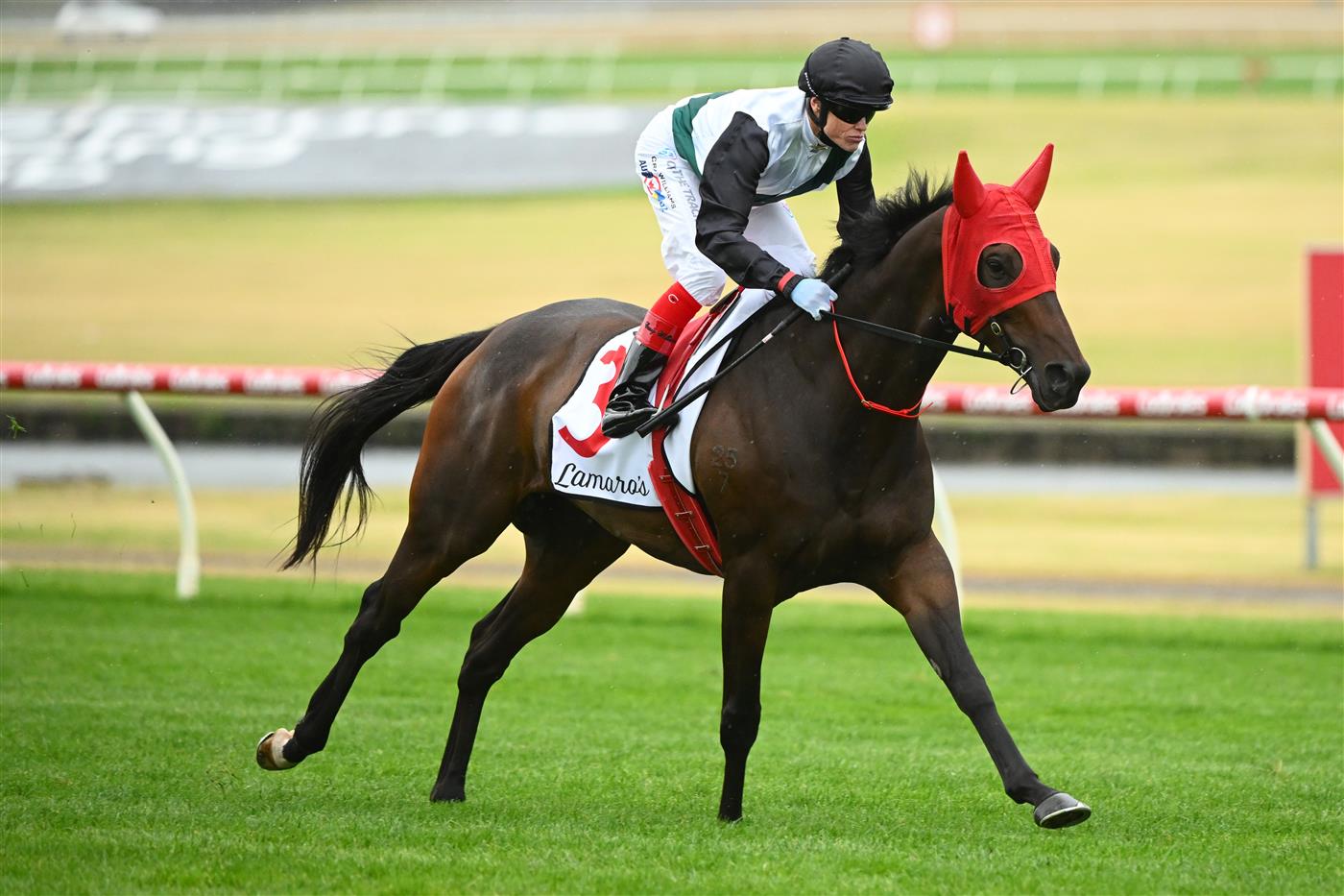 MELBOURNE, AUSTRALIA - FEBRUARY 25: Craig Williams riding Mr Brightside to the start of Race 8, the Lamaro's Futurity Stakes, during Melbourne Racing at Sandown Lakeside on February 25, 2023 in Melbourne, Australia. (Getty)