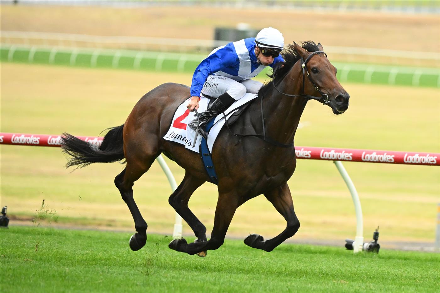 MELBOURNE, AUSTRALIA - FEBRUARY 25: Blake Shinn riding Alligator Blood winning Race 8, the Lamaro's Futurity Stakes, during Melbourne Racing at Sandown Lakeside on February 25, 2023 in Melbourne, Australia. (Getty)