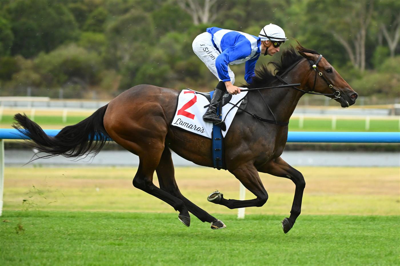 MELBOURNE, AUSTRALIA - FEBRUARY 25: Blake Shinn riding Alligator Blood winning Race 8, the Lamaro's Futurity Stakes, during Melbourne Racing at Sandown Lakeside on February 25, 2023 in Melbourne, Australia. (Getty)