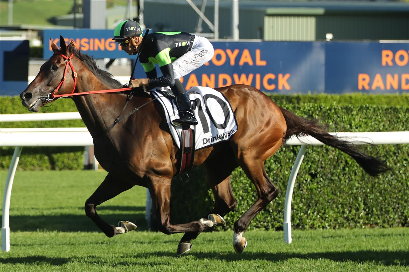 SYDNEY, AUSTRALIA - FEBRUARY 25: Sam Clipperton riding Think About It wins Race 9 Liverpool City Cup during TAB Chipping Norton Stakes Day - Sydney Racing at Royal Randwick Racecourse on February 25, 2023 in Sydney, Australia. (Photo by Jeremy Ng/Getty Images)