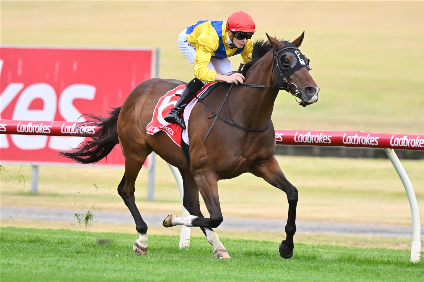 MELBOURNE, AUSTRALIA - FEBRUARY 25: Ethan Brown riding Right You Are winning Race 1, the Ladbrokes Victoria Gold Cup, during Melbourne Racing at Sandown Lakeside on February 25, 2023 in Melbourne, Australia. (Photo by Vince Caligiuri/Getty Images)