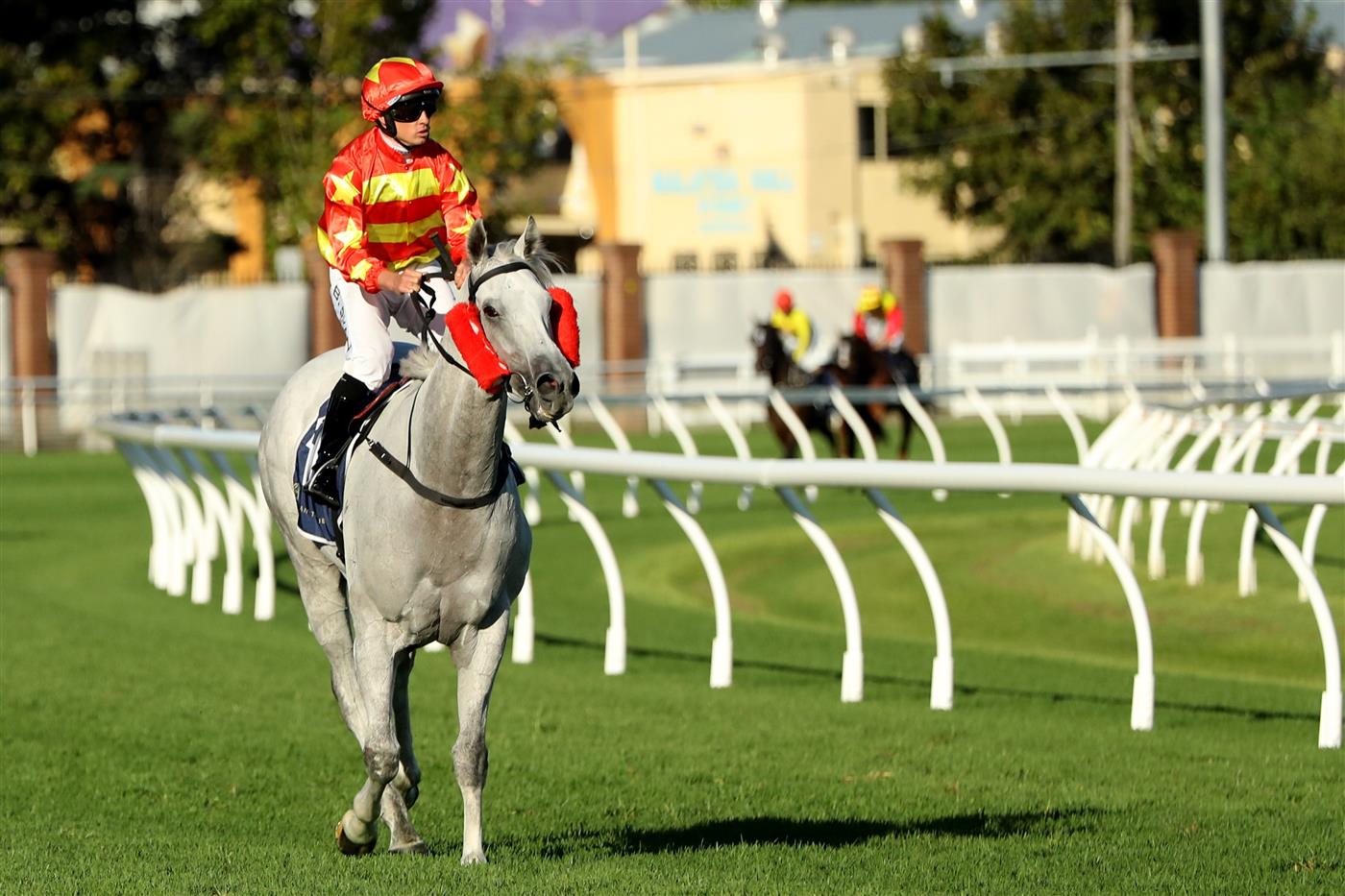 SYDNEY, AUSTRALIA - FEBRUARY 25: Brock Ryan riding Much Much Better wins Race 10 Dynamic Syndications during TAB Chipping Norton Stakes Day - Sydney Racing at Royal Randwick Racecourse on February 25, 2023 in Sydney, Australia. (Photo by Jeremy Ng/Getty Images)
