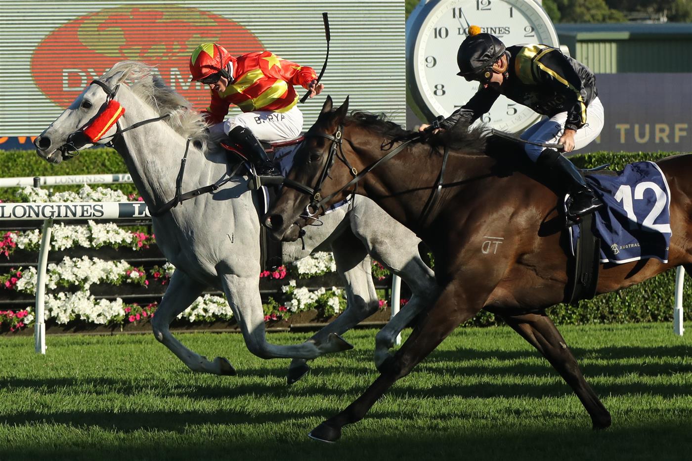 SYDNEY, AUSTRALIA - FEBRUARY 25: Brock Ryan riding Much Much Better wins Race 10 Dynamic Syndications during TAB Chipping Norton Stakes Day - Sydney Racing at Royal Randwick Racecourse on February 25, 2023 in Sydney, Australia. (Photo by Jeremy Ng/Getty Images)