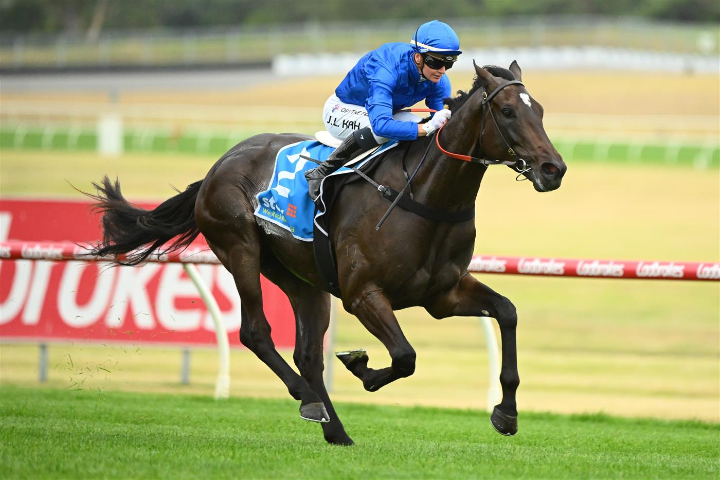 MELBOURNE, AUSTRALIA - FEBRUARY 25: Jamie Kah riding Pericles winning Race 5, the Stow Storage Autumn Classic, during Melbourne Racing at Sandown Lakeside on February 25, 2023 in Melbourne, Australia. (Photo by Vince Caligiuri/Getty Images)
