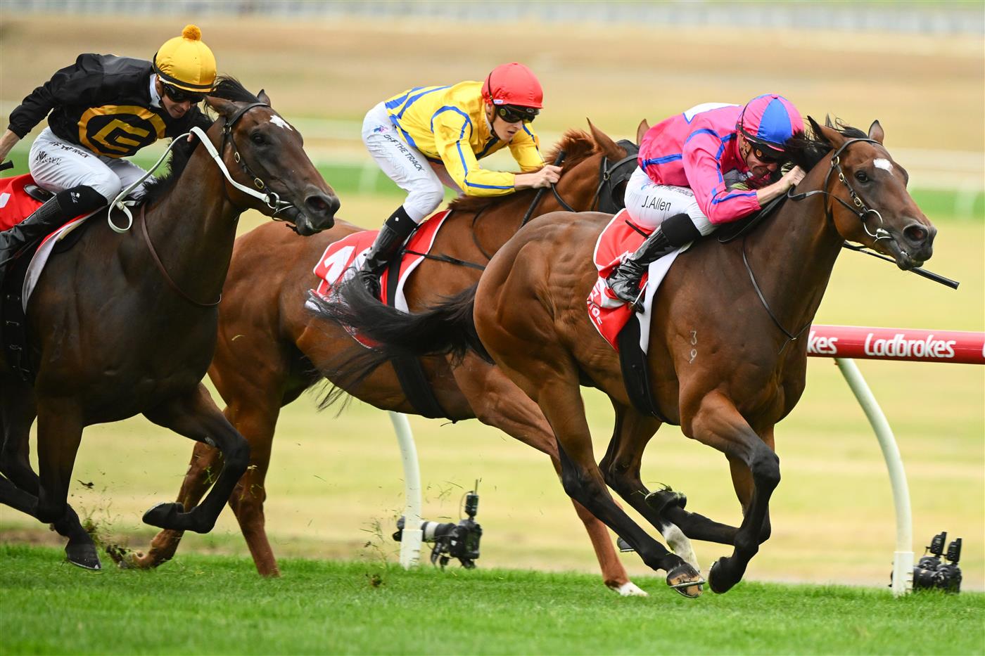 MELBOURNE, AUSTRALIA - FEBRUARY 25: John Allen riding Recommendation winning Race 4, the Ladbrokes Zeditave Stakes, during Melbourne Racing at Sandown Lakeside on February 25, 2023 in Melbourne, Australia. (Photo by Vince Caligiuri/Getty Images)