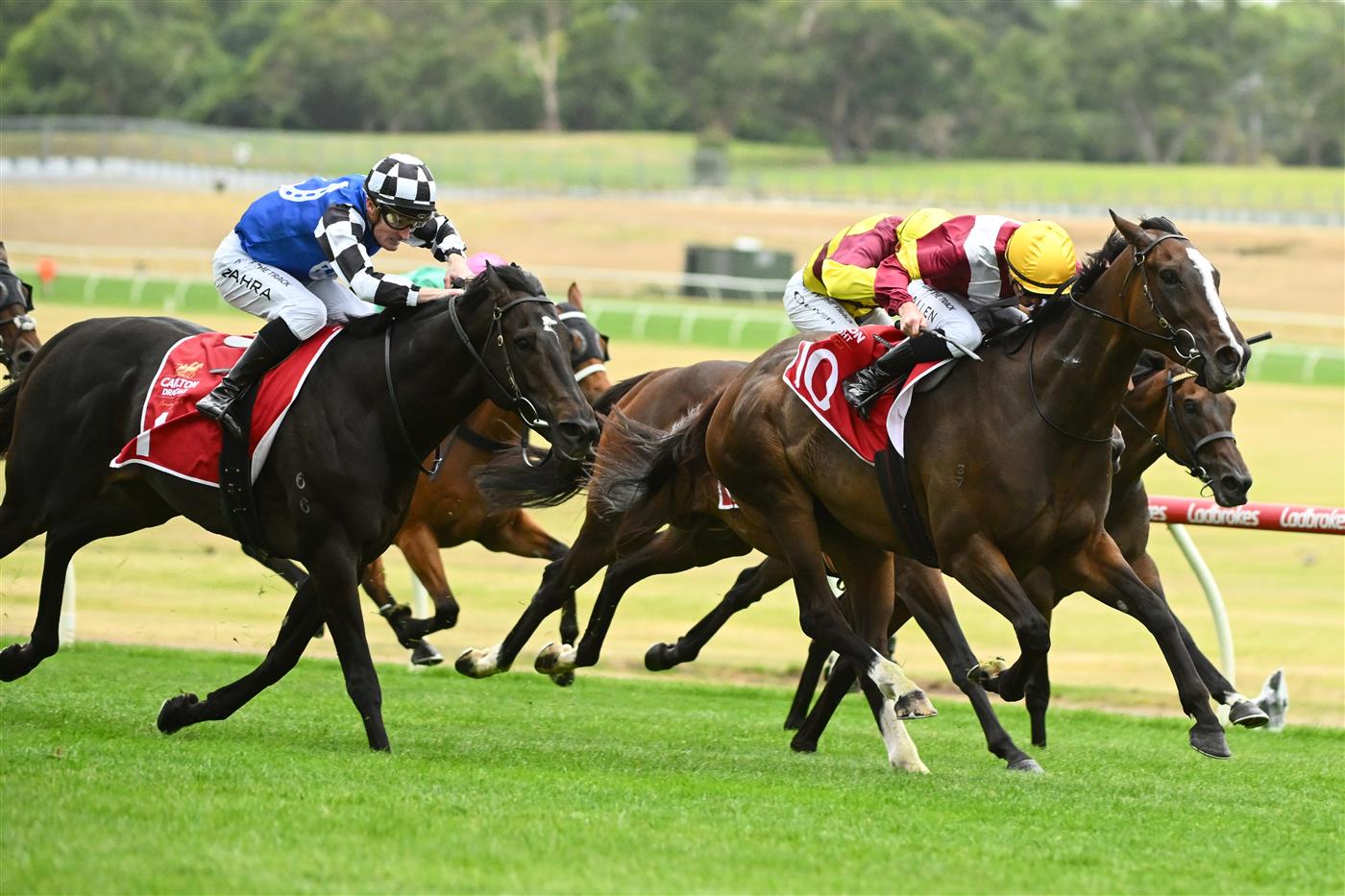 MELBOURNE, AUSTRALIA - FEBRUARY 25: John Allen riding Steinem defeats Mark Zahra riding Gold Trip i Race 6, the Carlton Draught Peter Young Stakes, during Melbourne Racing at Sandown Lakeside on February 25, 2023 in Melbourne, Australia. (Photo by Vince Caligiuri/Getty Images)