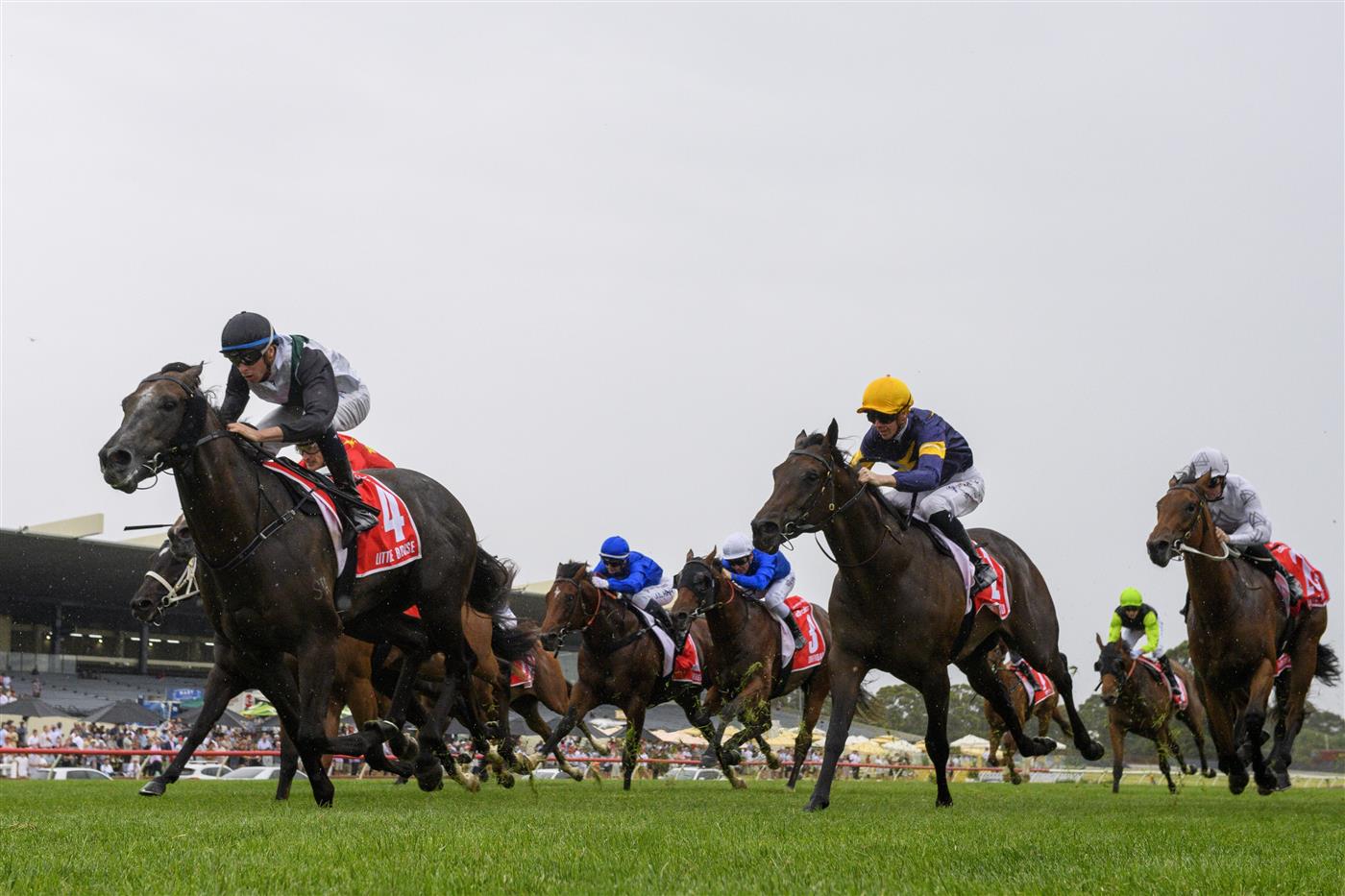 MELBOURNE, AUSTRALIA - FEBRUARY 25: Michael Dee riding Little Brose win Race 7, the Ladbrokes Blue Diamond Stakes,  during Melbourne Racing at Sandown Lakeside on February 25, 2023 in Melbourne, Australia. (Photo by Vince Caligiuri/Getty Images)