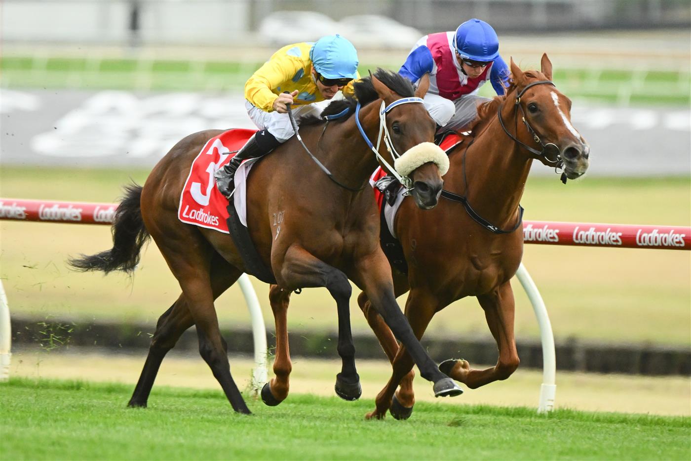 MELBOURNE, AUSTRALIA - FEBRUARY 25: Ben Melham riding Shuffle Dancer defeats Michael Dee riding Royal Merchant in Race 2, the Ladbrokes Angus Armanasco Stakes, during Melbourne Racing at Sandown Lakeside on February 25, 2023 in Melbourne, Australia. (Photo by Vince Caligiuri/Getty Images)