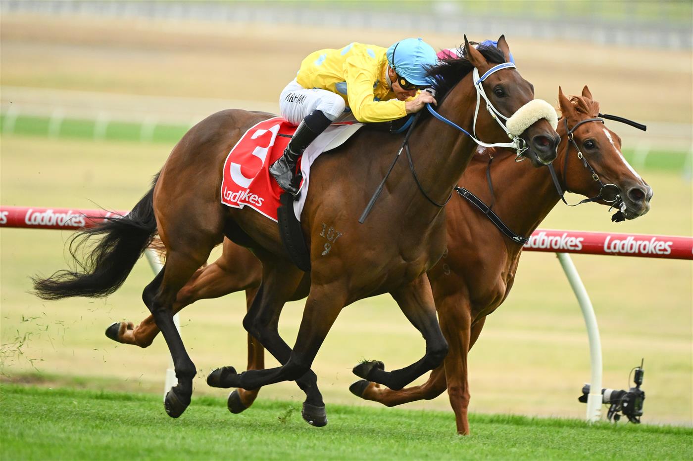 MELBOURNE, AUSTRALIA - FEBRUARY 25: Ben Melham riding Shuffle Dancer defeats Michael Dee riding Royal Merchant in Race 2, the Ladbrokes Angus Armanasco Stakes, during Melbourne Racing at Sandown Lakeside on February 25, 2023 in Melbourne, Australia. (Photo by Vince Caligiuri/Getty Images)