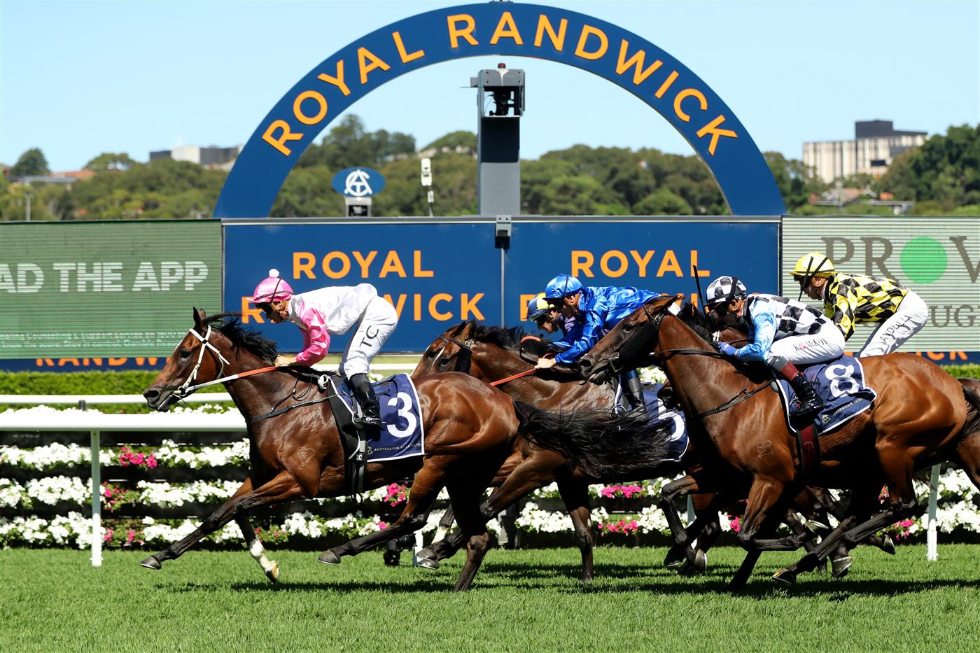 SYDNEY, AUSTRALIA - FEBRUARY 25: Tim Clark riding Hope In Your Heart  Race 5 Guy Walter Proven Thoroughbred Stakes during TAB Chipping Norton Stakes Day - Sydney Racing at Royal Randwick Racecourse on February 25, 2023 in Sydney, Australia. (Photo by Jeremy Ng/Getty Images)