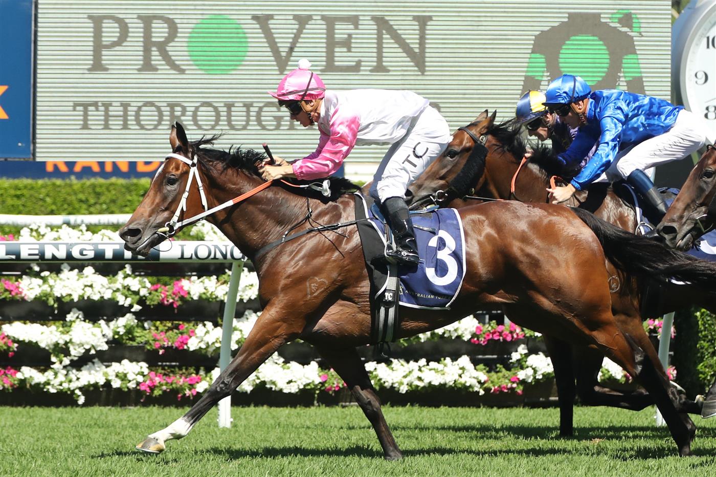 SYDNEY, AUSTRALIA - FEBRUARY 25: Tim Clark riding Hope In Your Heart  Race 5 Guy Walter Proven Thoroughbred Stakes during TAB Chipping Norton Stakes Day - Sydney Racing at Royal Randwick Racecourse on February 25, 2023 in Sydney, Australia. (Photo by Jeremy Ng/Getty Images)