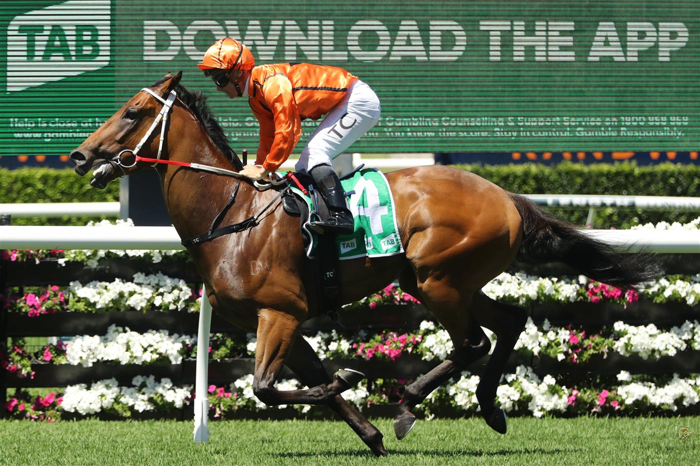 SYDNEY, AUSTRALIA - FEBRUARY 25: Tim Clark riding Mogo Magic wins Race 2 TAB Highway Handicap during TAB Chipping Norton Stakes Day - Sydney Racing at Royal Randwick Racecourse on February 25, 2023 in Sydney, Australia. (Photo by Jeremy Ng/Getty Images)