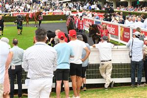 MELBOURNE, AUSTRALIA - FEBRUARY 25: Emissary parades before Race 6, the Carlton Draught Peter Young Stakes, during Melbourne Racing at Sandown Lakeside on February 25, 2023 in Melbourne, Australia. (Photo by Vince Caligiuri/Getty Images)