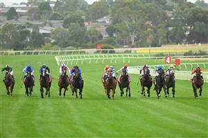 MELBOURNE, AUSTRALIA - FEBRUARY 25:  Ben Thompson riding Uncommon James (ctr) Race 9, the Ladbrokes Oakleigh Plate,  during Melbourne Racing at Sandown Lakeside on February 25, 2023 in Melbourne, Australia. (Photo by Vince Caligiuri/Getty Images)
