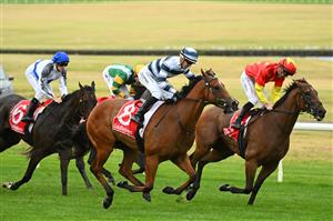 MELBOURNE, AUSTRALIA - FEBRUARY 25: Ben Thompson riding Uncommon James winning Race 9, the Ladbrokes Oakleigh Plate,  during Melbourne Racing at Sandown Lakeside on February 25, 2023 in Melbourne, Australia. (Photo by Vince Caligiuri/Getty Images)