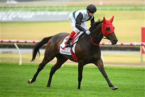 MELBOURNE, AUSTRALIA - FEBRUARY 25: Craig Williams riding Mr Brightside to the start of Race 8, the Lamaro's Futurity Stakes, during Melbourne Racing at Sandown Lakeside on February 25, 2023 in Melbourne, Australia. (Getty)