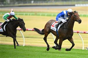 MELBOURNE, AUSTRALIA - FEBRUARY 25: Blake Shinn riding Alligator Blood winning Race 8, the Lamaro's Futurity Stakes, during Melbourne Racing at Sandown Lakeside on February 25, 2023 in Melbourne, Australia. (Getty)