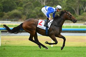 MELBOURNE, AUSTRALIA - FEBRUARY 25: Blake Shinn riding Alligator Blood winning Race 8, the Lamaro's Futurity Stakes, during Melbourne Racing at Sandown Lakeside on February 25, 2023 in Melbourne, Australia. (Getty)