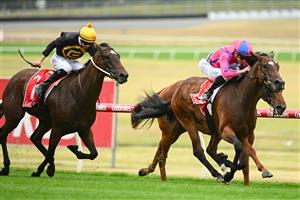 MELBOURNE, AUSTRALIA - FEBRUARY 25: John Allen riding Recommendation winning Race 4, the Ladbrokes Zeditave Stakes, during Melbourne Racing at Sandown Lakeside on February 25, 2023 in Melbourne, Australia. (Photo by Vince Caligiuri/Getty Images)