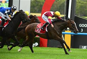 MELBOURNE, AUSTRALIA - FEBRUARY 25: John Allen riding Steinem defeats Mark Zahra riding Gold Trip in Race 6, the Carlton Draught Peter Young Stakes, during Melbourne Racing at Sandown Lakeside on February 25, 2023 in Melbourne, Australia. (Photo by Vince Caligiuri/Getty Images)