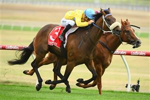 MELBOURNE, AUSTRALIA - FEBRUARY 25: Ben Melham riding Shuffle Dancer defeats Michael Dee riding Royal Merchant in Race 2, the Ladbrokes Angus Armanasco Stakes, during Melbourne Racing at Sandown Lakeside on February 25, 2023 in Melbourne, Australia. (Photo by Vince Caligiuri/Getty Images)